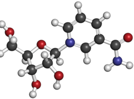 Nicotinamideriboside, een derivaat van vitamine B3, zou de aanmaak van bloedcellen stimuleren