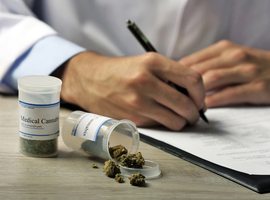 Cannabis médical: sans danger?