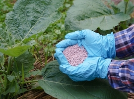 La Belgique renvoyée devant la justice de l'UE pour l'inaction flamande face aux nitrates