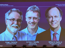 Nobelprijs Geneeskunde naar twee Amerikanen en Brit voor celonderzoek