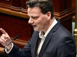 Pédopsychiatrie : De Smet interpelle Vandenbroucke sur les refus d'admission