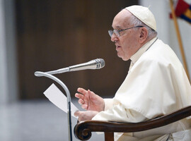 Visite du pape François - Le pape 