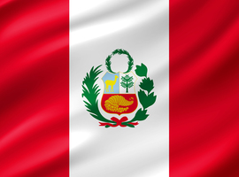 Pérou: recrudescence inhabituelle du Guillain-Barré, urgence nationale déclarée