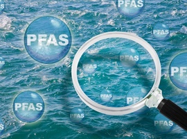 PFAS en zeeproducten: een moeilijke keuze…