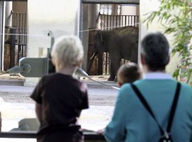 Planckendael verwelkomt gezinnen op 26ste Kinderkankerdag