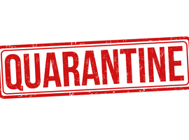 Coronavirus - Chinese stad Wuhan onder quarantaine geplaatst