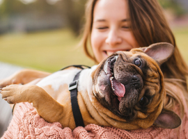 Een hond is goed voor de gezondheid