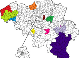 Geïntegreerde zorg voor chronisch zieken: overtuigende resultaten (Riziv)