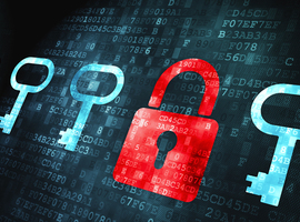 Cyberbeveiliging: voelt u zich goed beschermd?  (Enquête)