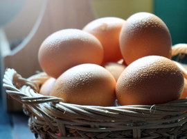 Fipronil in eieren - Ook verwerkte producten die niet conform zijn worden van de markt gehaald (FAVV en Fevia)