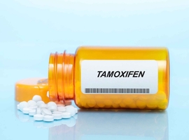 YAP, GPER, G1 en tamoxifen: nieuwe therapeutische pistes voor BPH