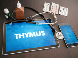 Verwijdering van de thymus heeft invloed op de gezondheid op volwassen leeftijd