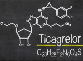 Le ticagrelor, antibiotique du futur?