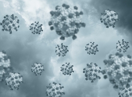 Des centaines de personnes contaminées par le norovirus dans la région du lac de Garde