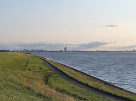 Alarmerende PFAS-vervuiling in Westerschelde 