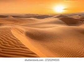 Hoe leiden we Vlaanderen weg uit zorgwoestijnen?