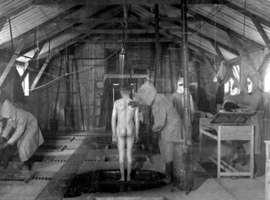 Nieuwe databank werpt licht op slachtoffers van medische experimenten door nazi's