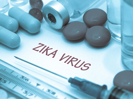 Leuvense onderzoekers ontwikkelen beloftevol vaccin tegen het zikavirus