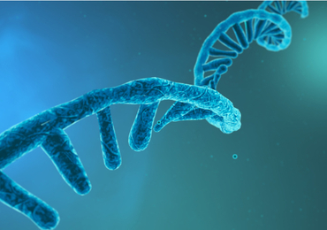 Moderna et Pfizer BioNTech s'affrontent sur la paternité de l'ARN messager
