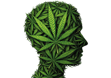 Cannabidiol sinds kort terugbetaald: 
