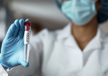 Ebola : Lancement des essais d'un premier vaccin contre le variant Bundibugyo