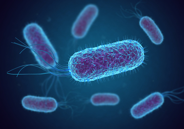 Onderzoek naar kindjes uit Antwerpse die STEC-bacterie opliepen, mogelijk nog slachtoffers