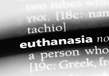 Les libéraux flamands espèrent encore faire examiner une modification de la loi euthanasie