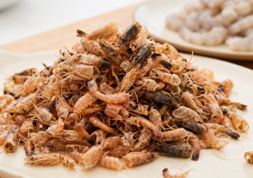 Des carapaces de crevettes pour un pansement innovant contre les brûlures