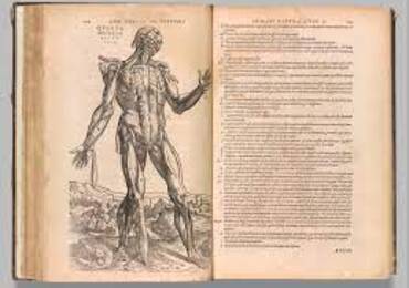 La KU Leuven célèbre le retour du traité d'anatomie 