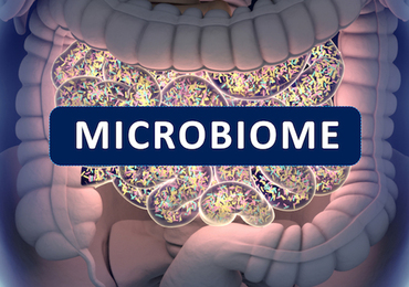 TMAO, microbiote intestinal et risque de fibrillation atriale