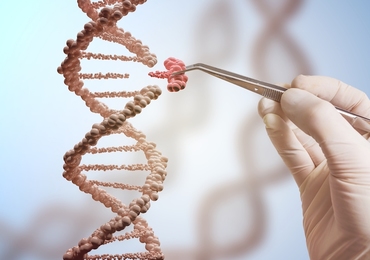 Nieuwe gentherapie voor dodelijke stofwisselingsziekte