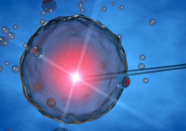 La cryopréservation ovocytaire, un 