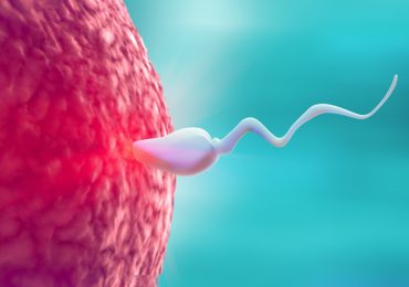 L’IA au service de la fertilité : un couple conçoit après 18 ans d’infertilité grâce à une technologie inédite