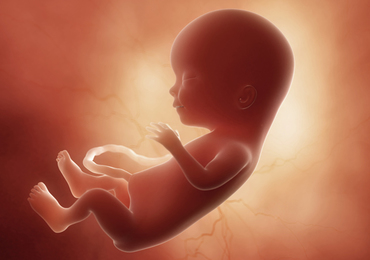 Ernstige stress tijdens de zwangerschap: link hartfalen bij het kind?
