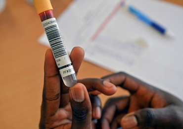 PFAS: une nouvelle campagne de dépistage sanguin va débuter en Wallonie