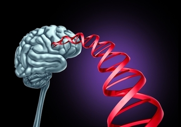 Epilepsie: het spoor van oligogene overerving verkend via exoomanalyse