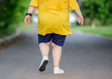 L’obésité sarcopénique: un phénotype particulier de l’obésité?