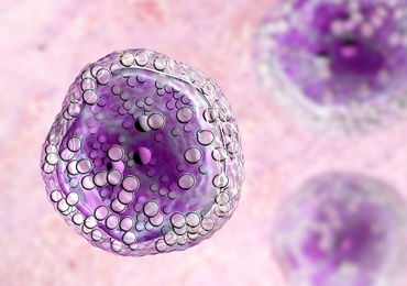 Une molécule qui maintient en sommeil des cellules cancéreuses
