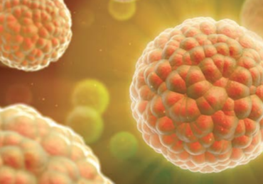 VUB-onderzoekers en artsen willen sensibiliseren over dodelijke pancreaskanker