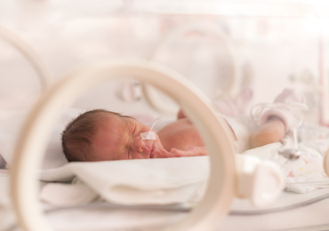 Prematuurtjes: Belgische onderzoekers identificeren een nieuwe manier om hersenletsel te voorkomen