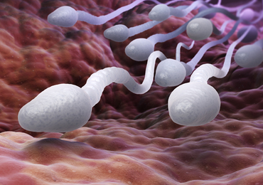 Enfants conçus avec du sperme destiné à la science: pas de trace de l'étude en question 
