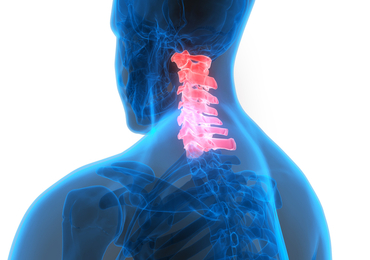 Op AI gebaseerde MRI-segmentatie om epidurale stimulatie bij ruggenmergletsel te verbeteren