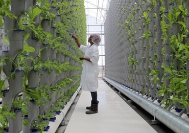 Botalys à Ghislenghien a inauguré une ferme verticale pour les plantes médicinales rares