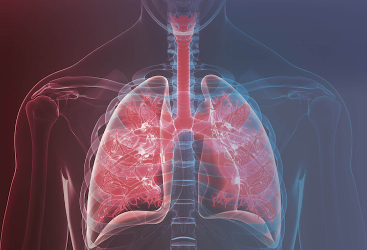 Symposium Longkankerscreening