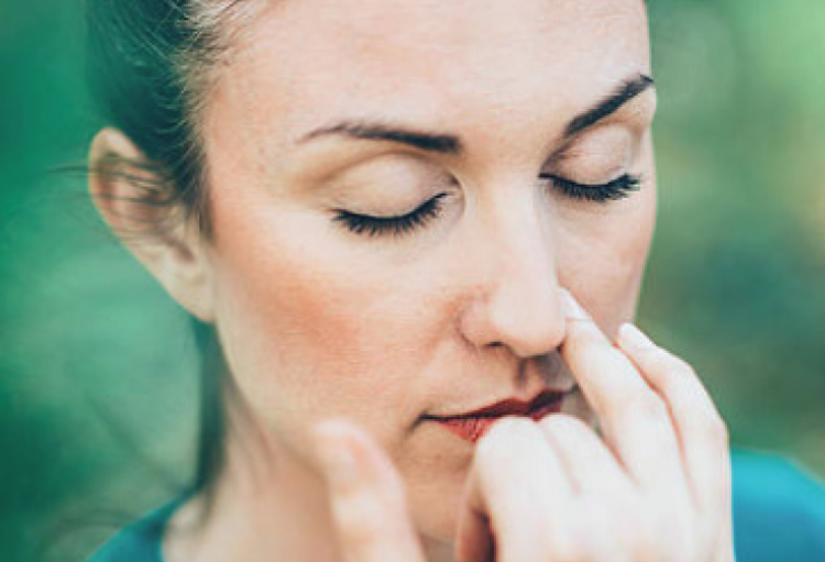 Respiration nasale et maladies cardio-vasculaires: une usine à gaz? (le rôle du NO)