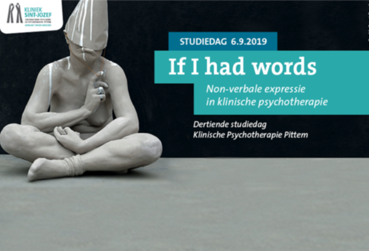 Dertiende studiedag Klinische Psychotherapie Pittem