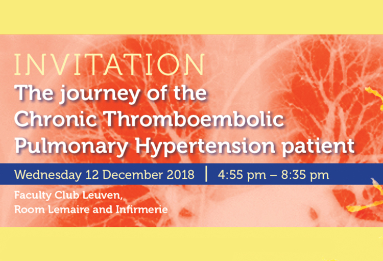 The journey of the Chronic Thromboembolic Pulmonary Hypertension patient