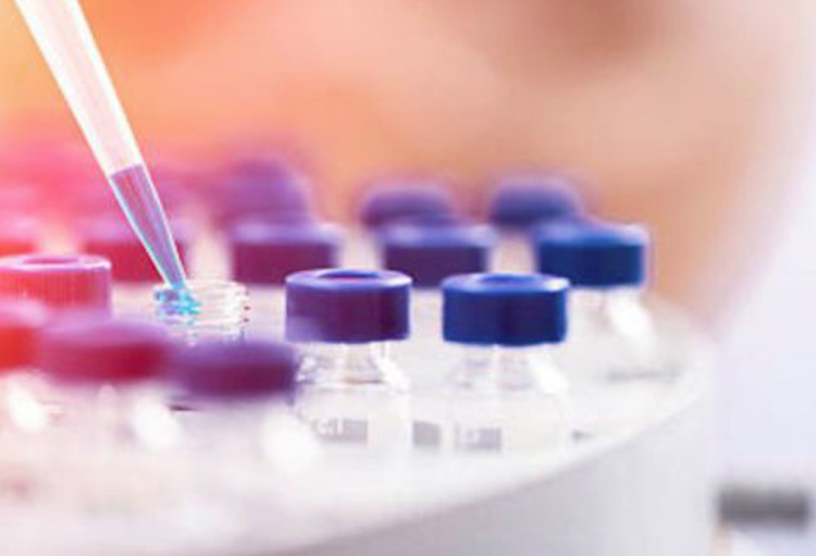 Advances in Basic Science and Biological Treatments in Orthopaedics and Traumatology