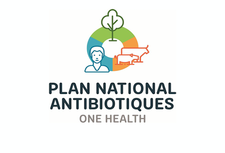 Présentation des avancées du plan national antibiotiques