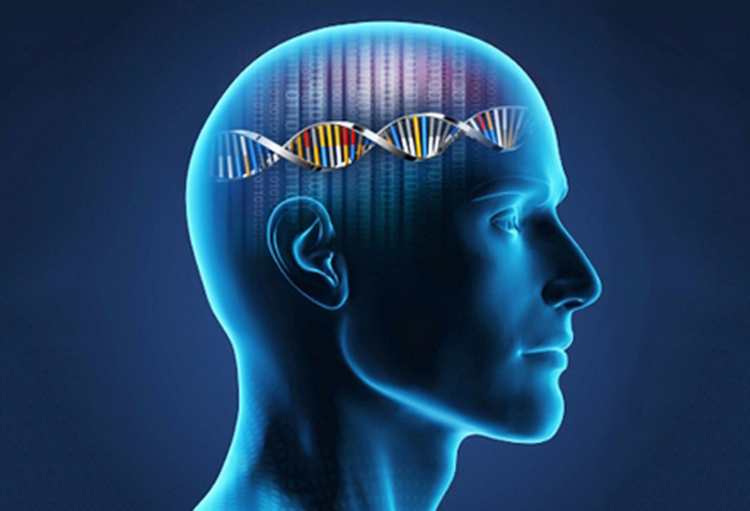 BCNBP Webinar: National Evening ‘Opioids Factchecked’